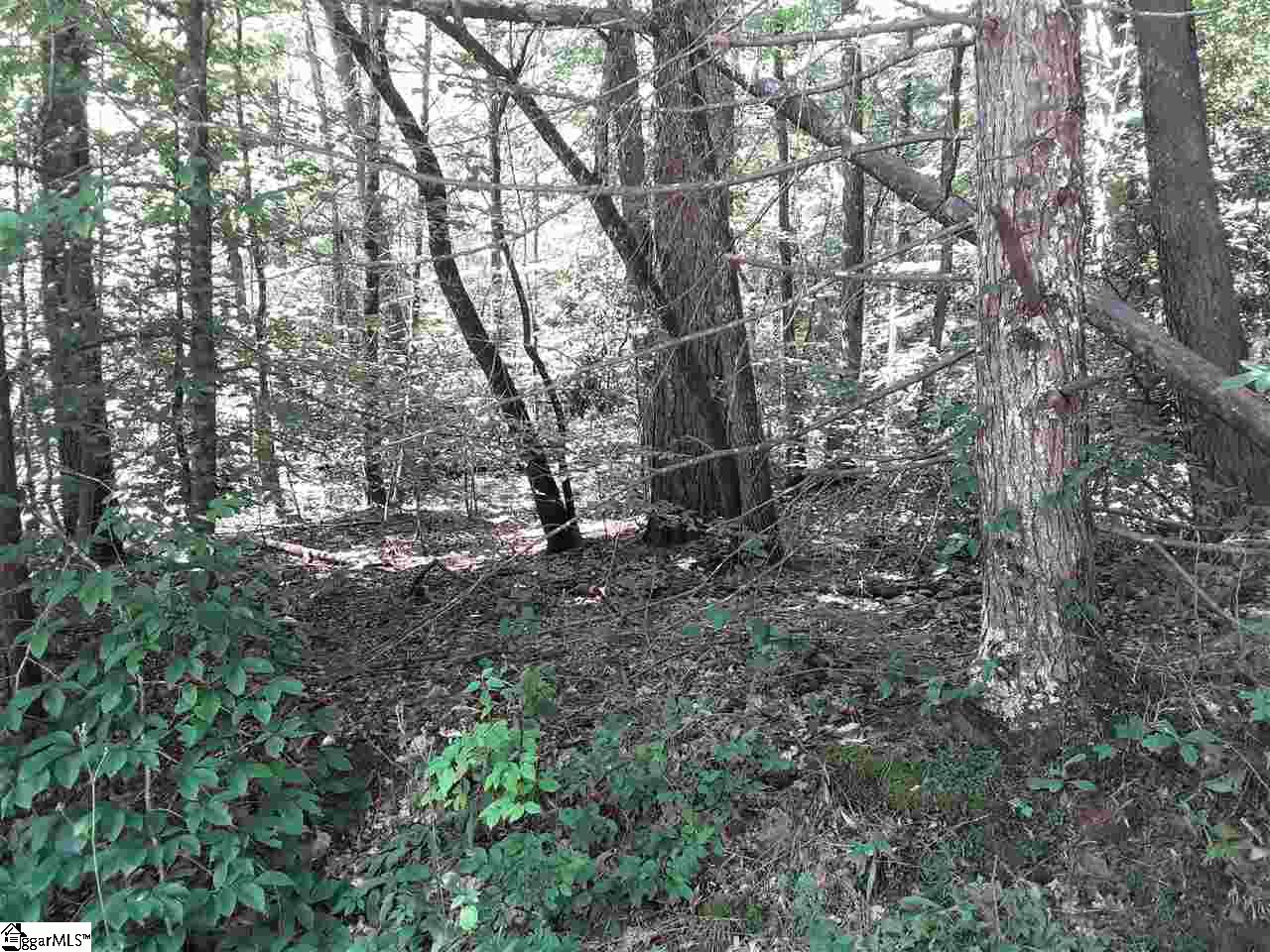 Property image 1 at 121 Willys Creek Circle, Pickens, SC 29671