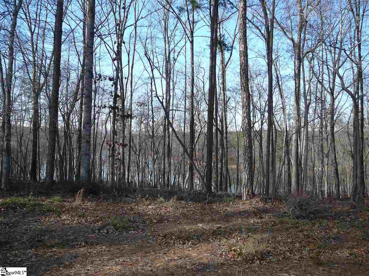 Property image 1 at Pointe Harbor Drive, Seneca, SC 29672