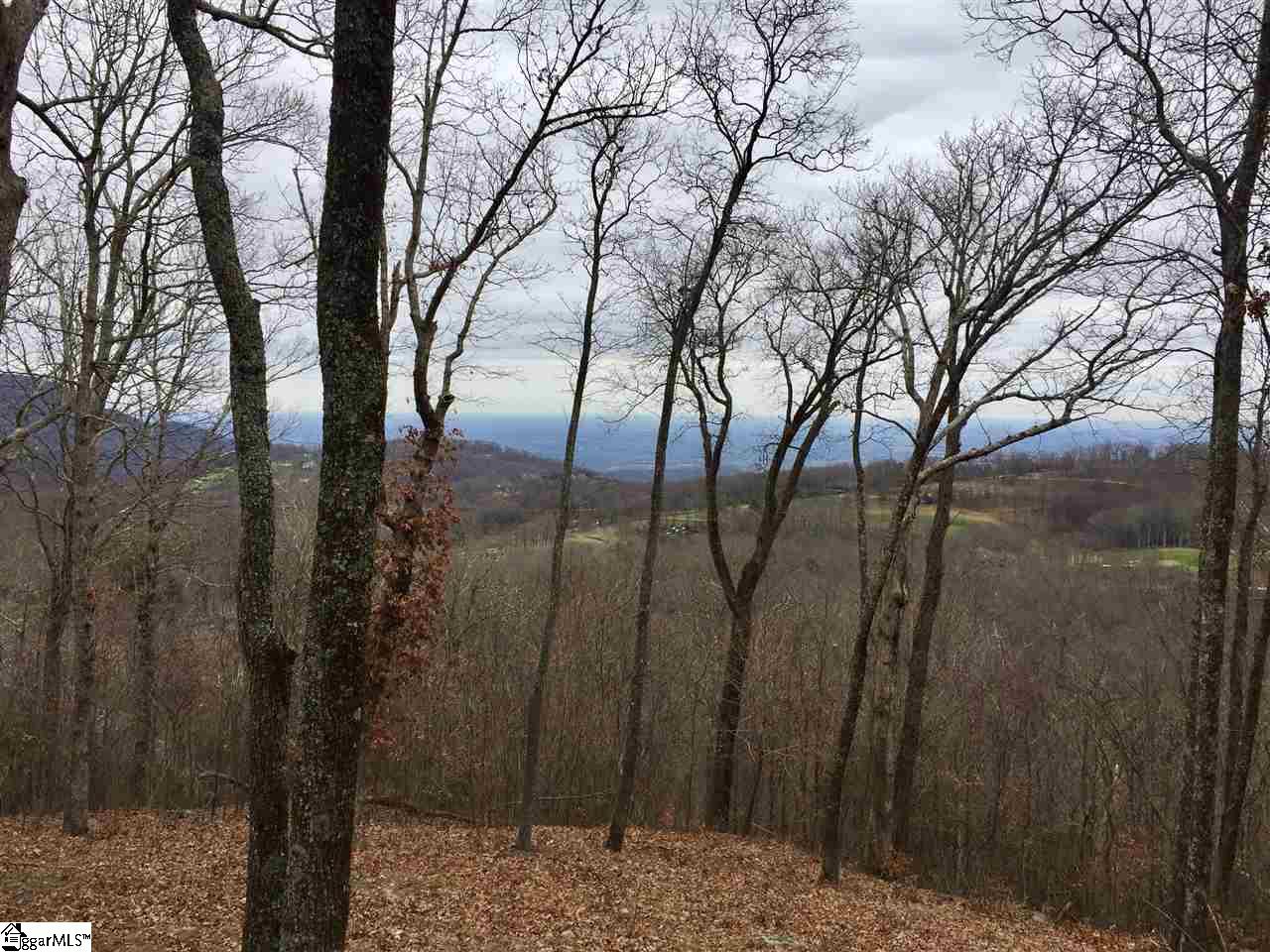 Property at 215 Yellowroot Lane, Landrum, SC 29356