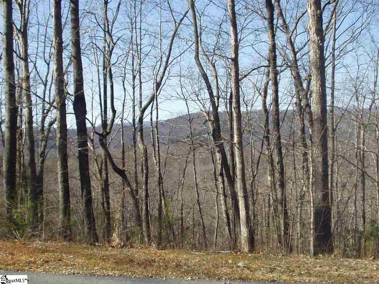 Property image 1 at 231 luberon Lane, Travelers Rest, SC 29690