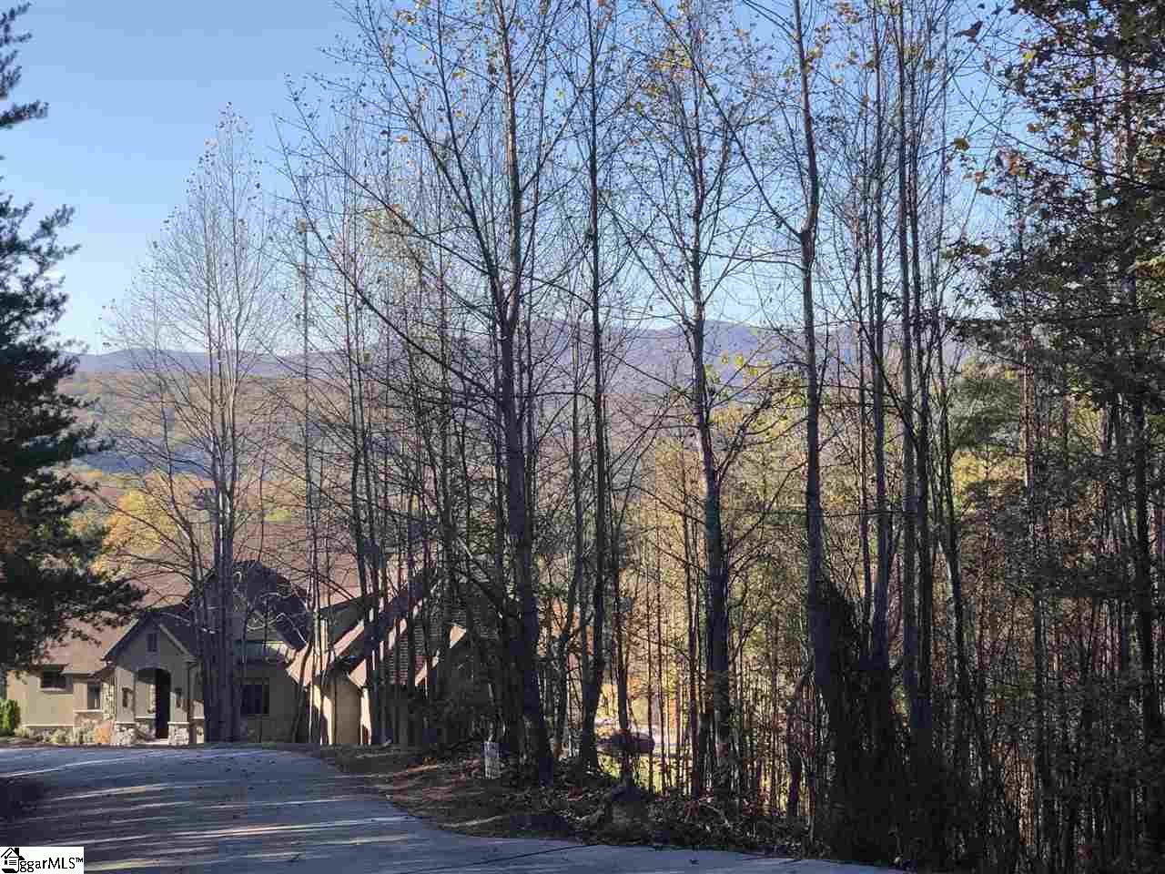 Property image 1 at 17 Clermont Court, Travelers Rest, SC 29690