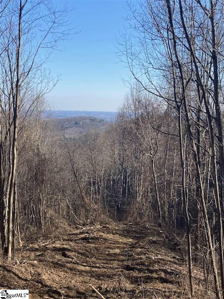 Property at 270 Foggy Cut Lane, Landrum, SC 29356