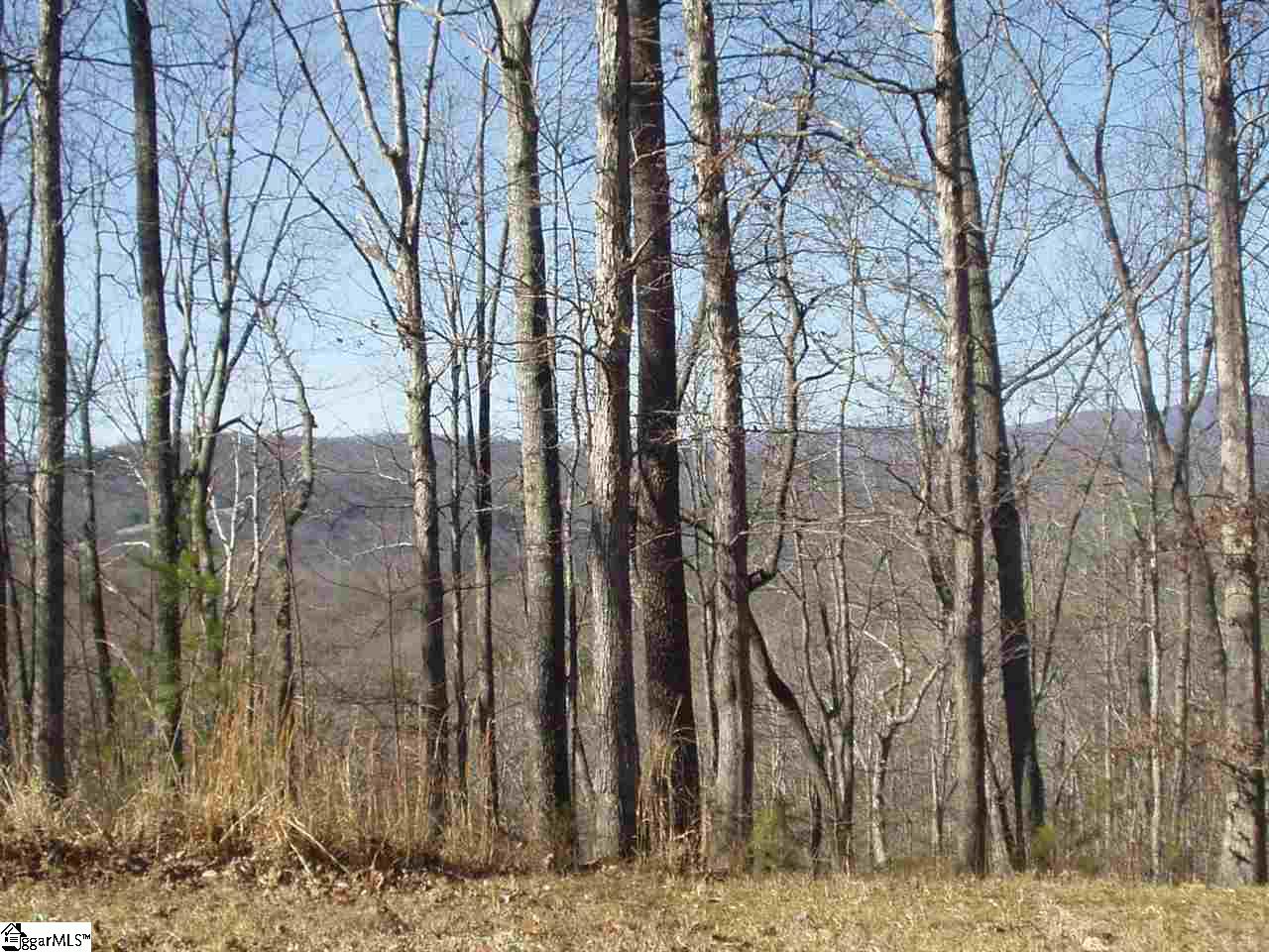 Property image 1 at 209 cabernet Way, Travelers Rest, SC 29690