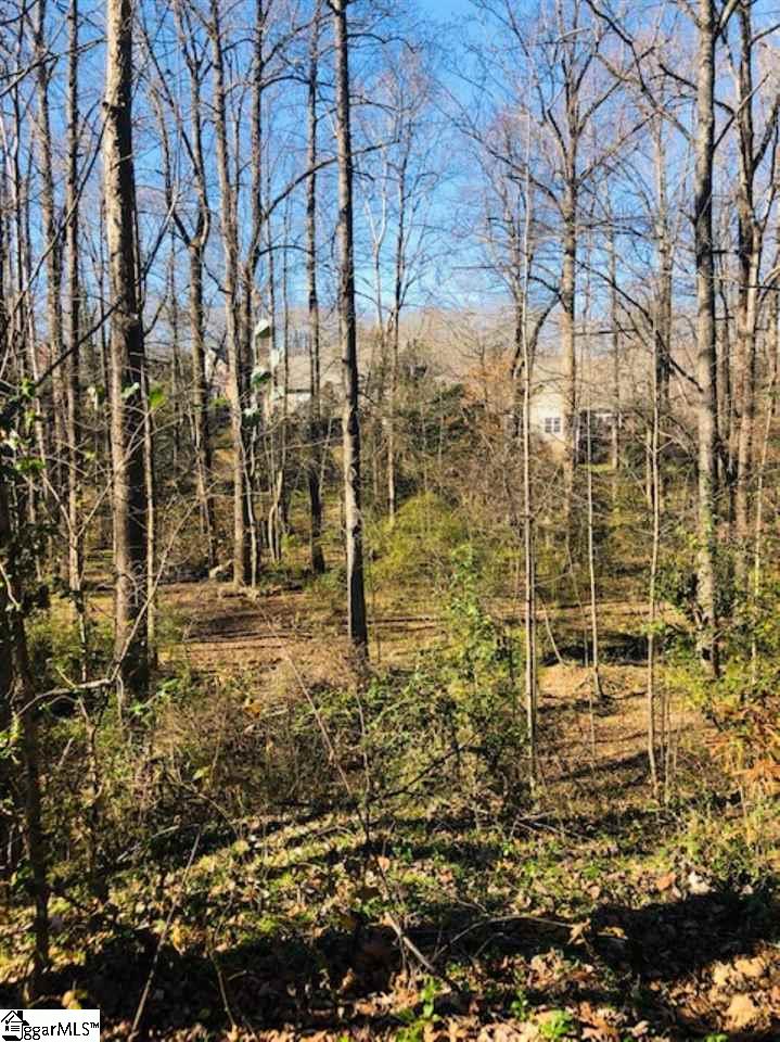 Property image 1 at 25175 Circle Slope Drive, Simpsonville, SC 29681