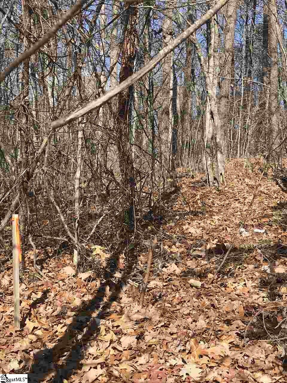 Property image 1 at 215 Luberon Lane, Travelers Rest, SC 29690