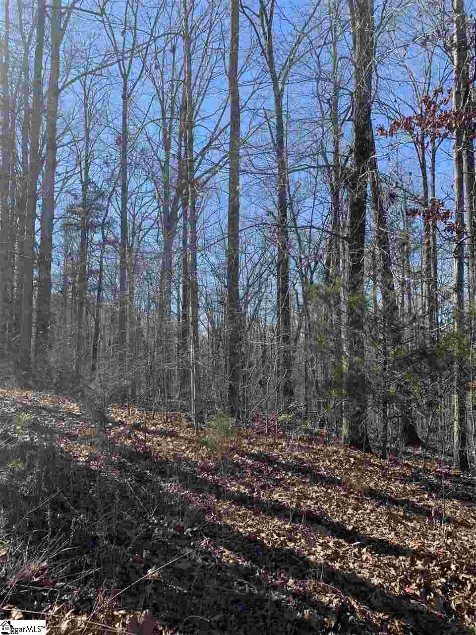 Property image 1 at 115 Ivy Woods Drive, Easley, SC 29642