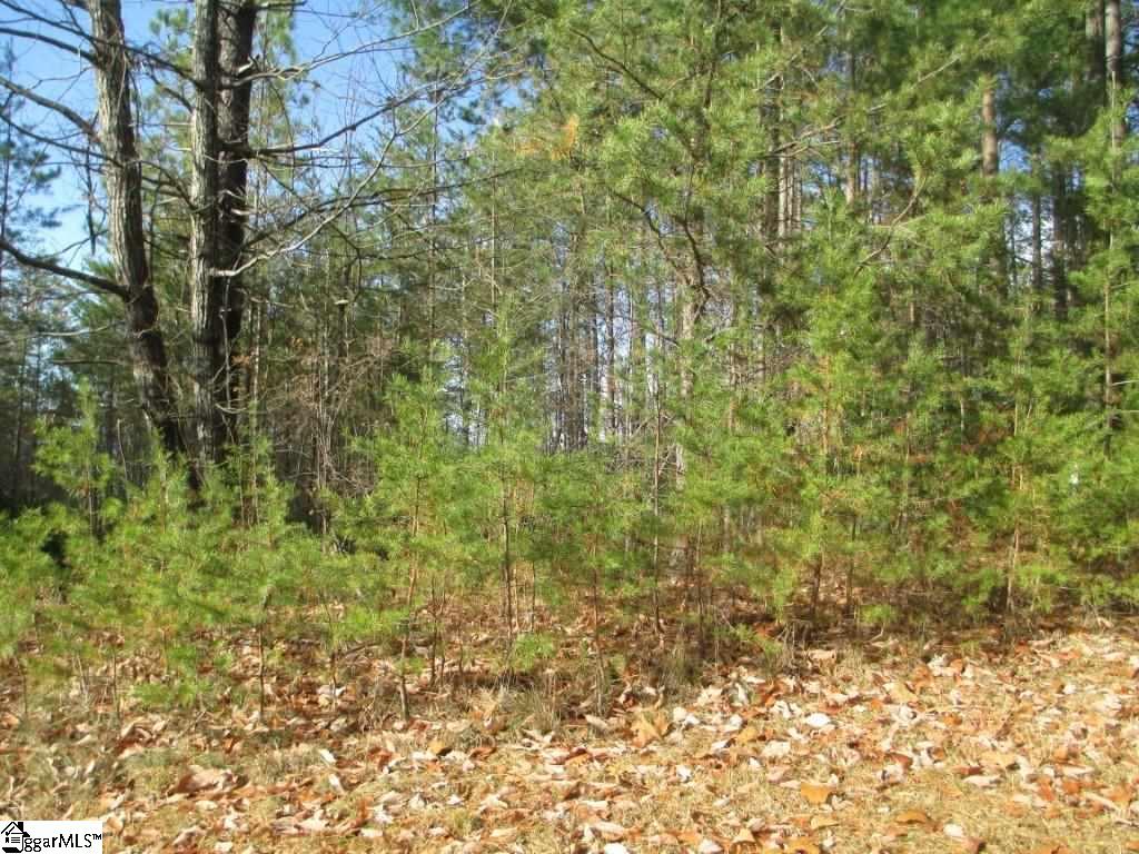 Property image 1 at 218 Jocassee Ridge Way, Salem, SC 29676