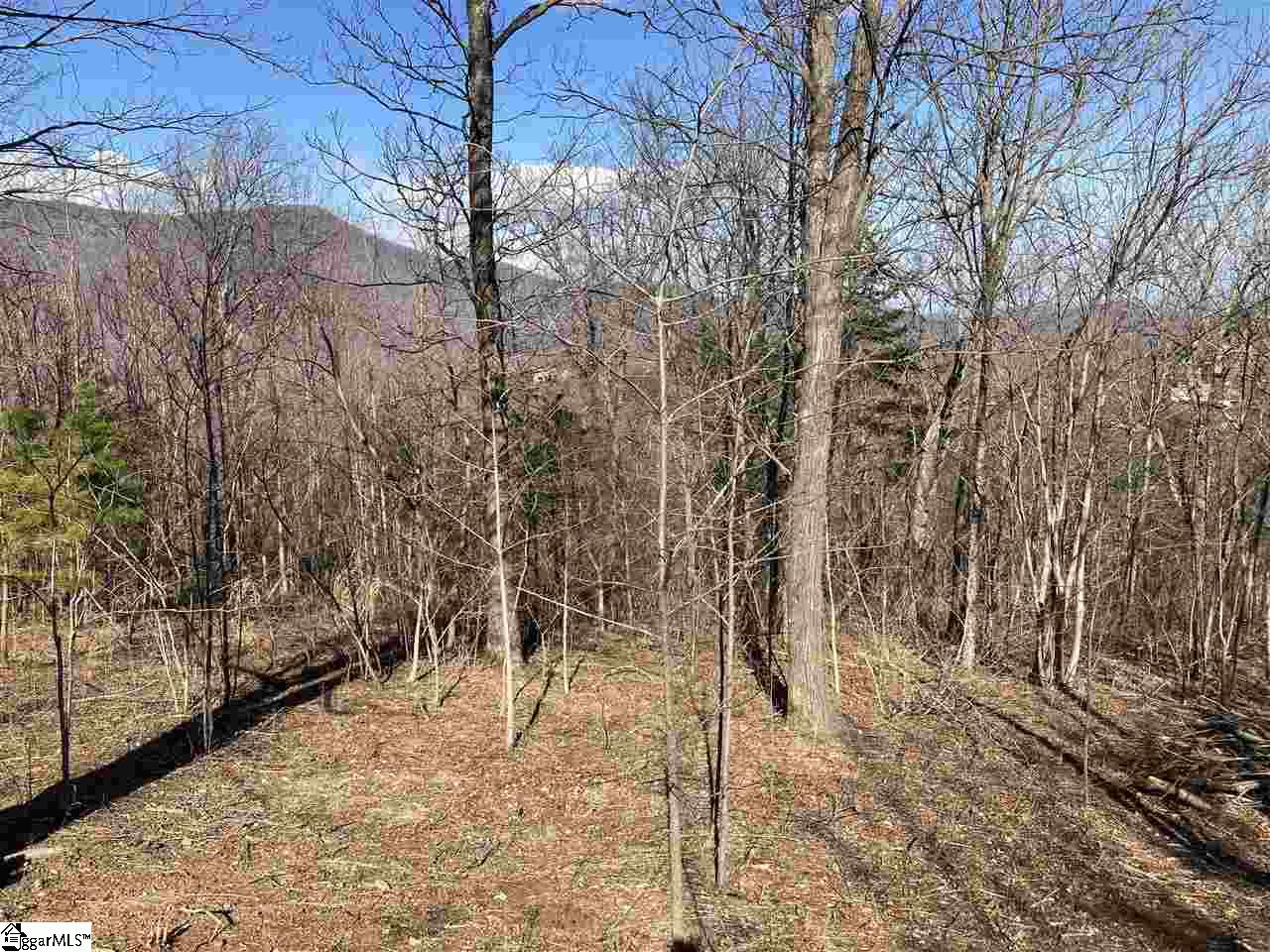 Property at 107 Hawk Knob Way, Landrum, SC 29356