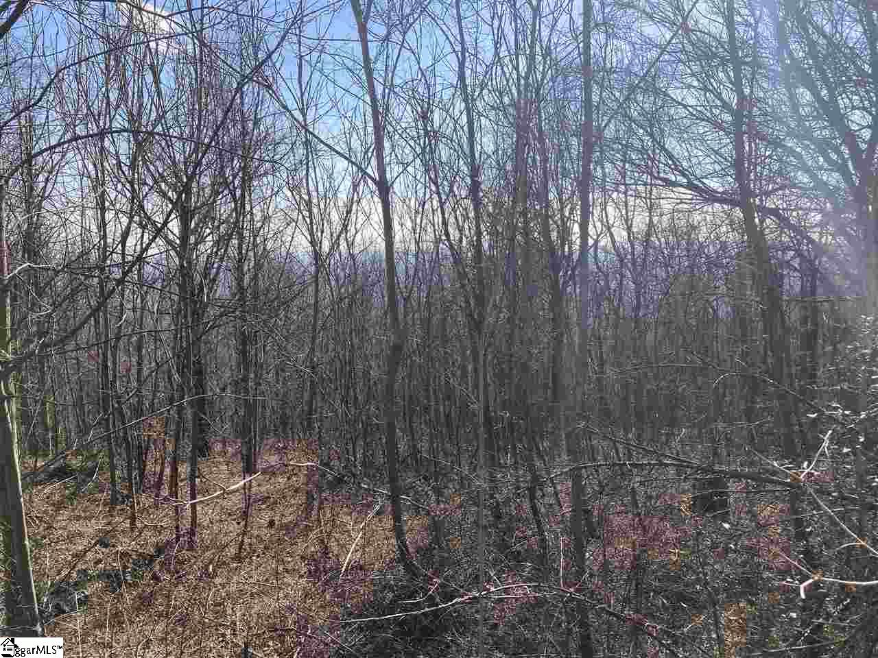 Property at 120 May Apple Way, Landrum, SC 29356