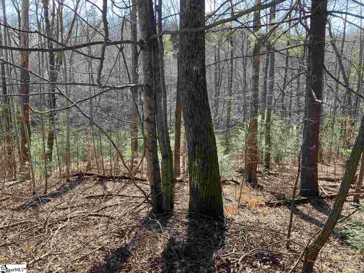 Property at 135 Morning Glory Way, Landrum, SC 29356