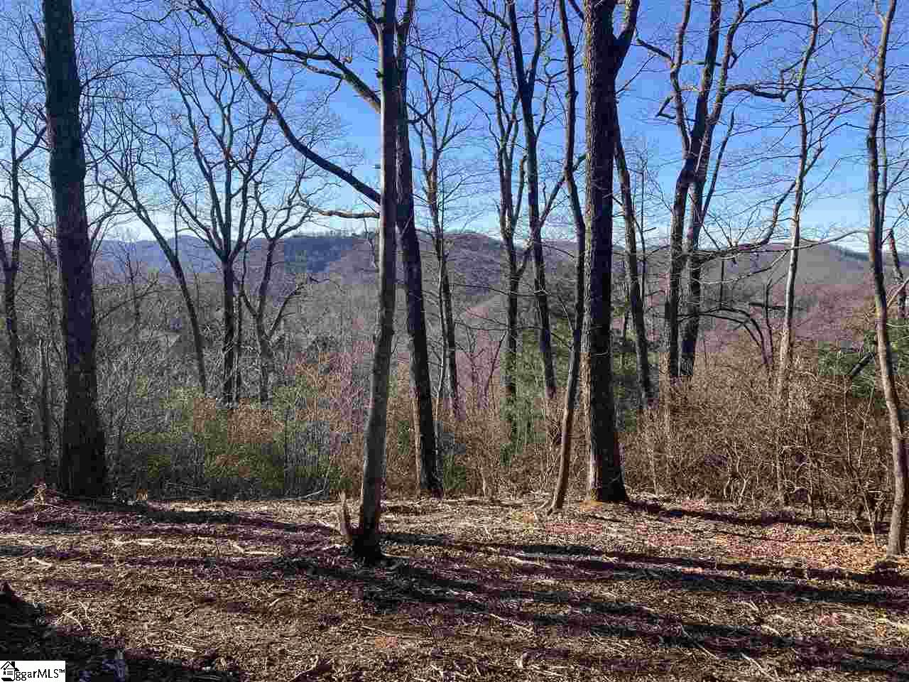 Property image 1 at Quiet Hills Lane, Travelers Rest, SC 29690