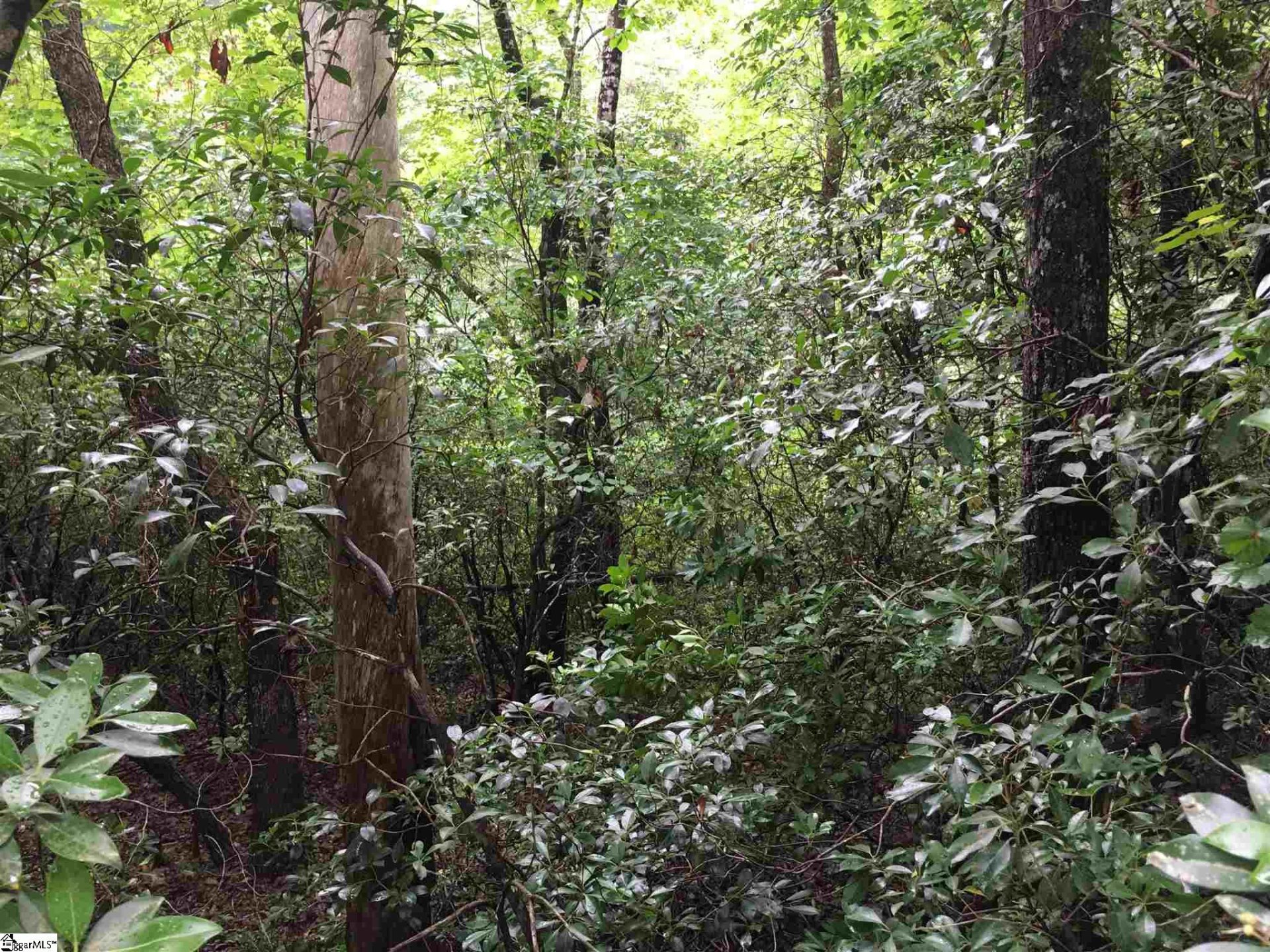 Property image 1 at 318 Gauley Falls Road, Pickens, SC 29671