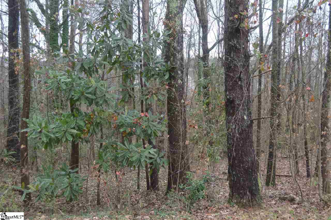 Property image 1 at 311 Bonita Drive, Easley, SC 29642
