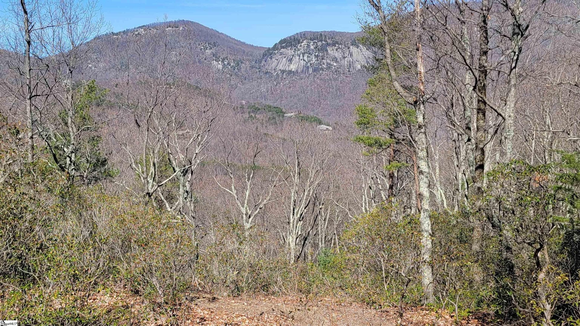 Property at 107 Roundtop Lane, Landrum, SC 29356