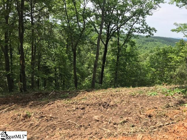 Property image 1 at 301 Blue Bonnet Trail, Marietta, SC 29661-5186