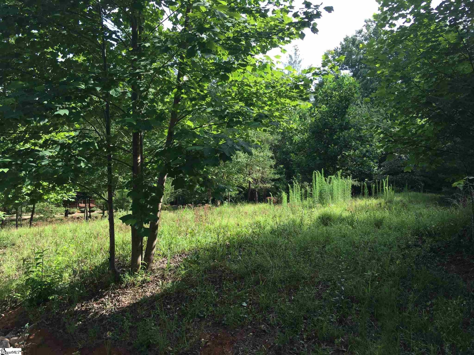 109 Falcon Crest Way