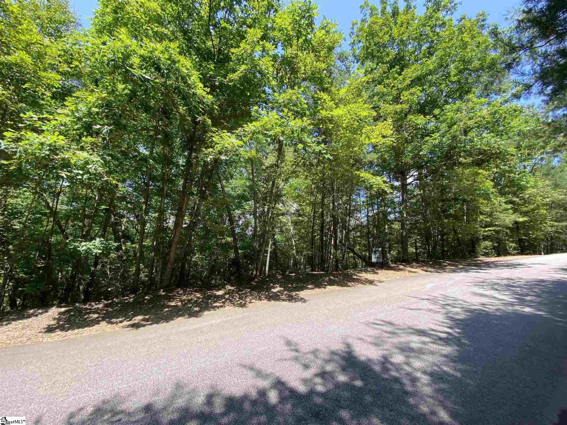 Property image 1 at 207 Luberon Lane, Travelers Rest, SC 29609