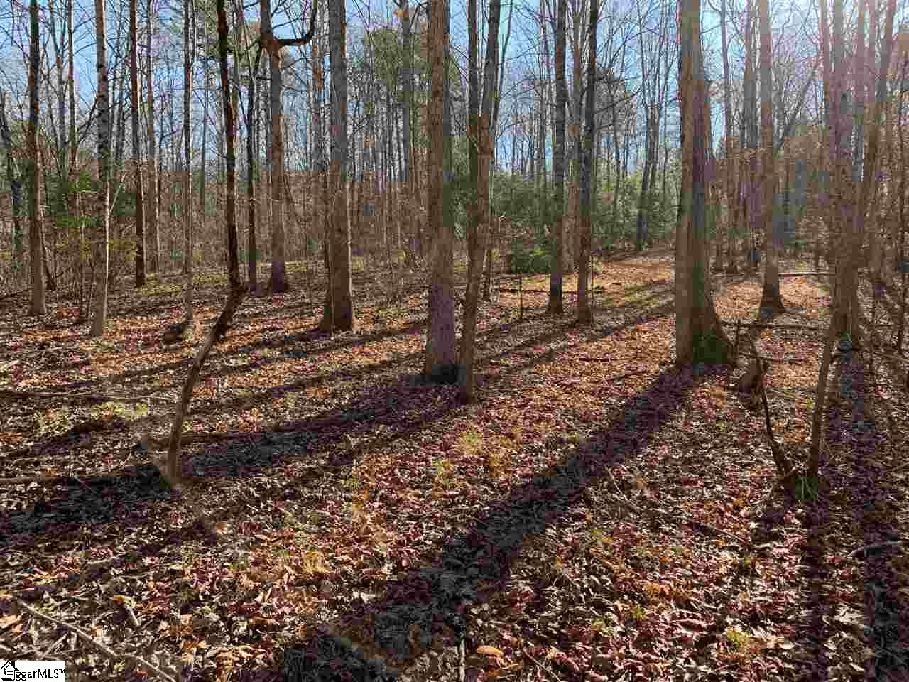 Property image 1 at 118 Edgestone Way, Six Mile, SC 29682