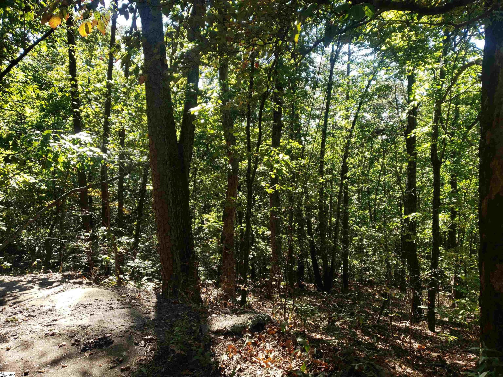 Property image 1 at 19287 Patrol Club Road, Greenville, SC 29609