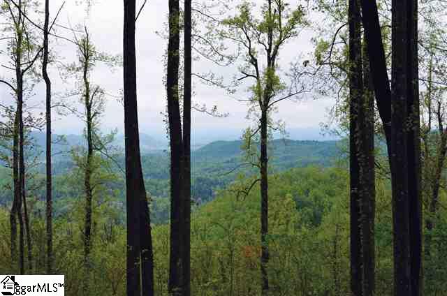 Property image 1 at 436 Bella Vista Court, Zirconia, NC 28790