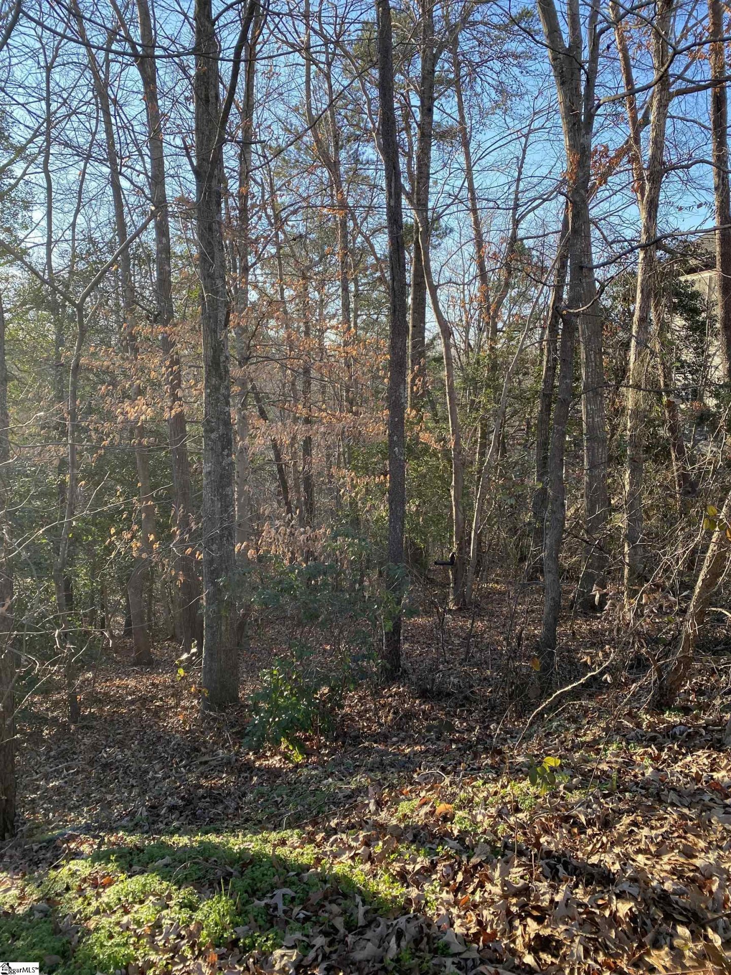 Property image 1 at 00 River Park Lane, Taylors, SC 29687