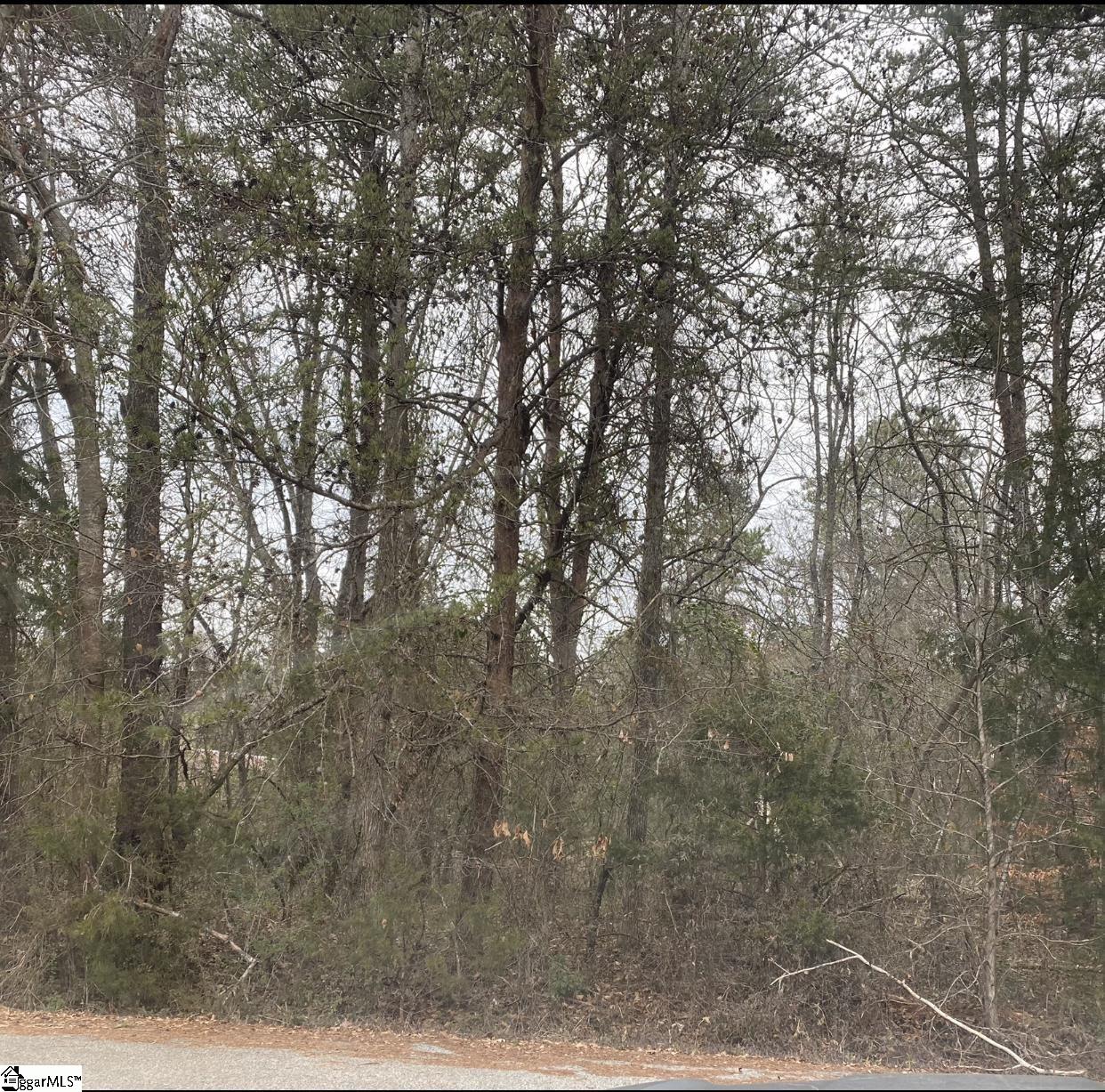 Property image 1 at 00 Manchester Avenue, Piedmont, SC 29673