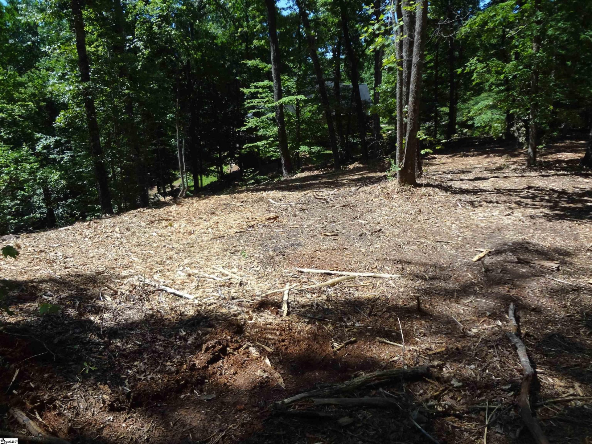 Property image 1 at 11 Rhone Valley Lane, Travelers Rest, SC 29690