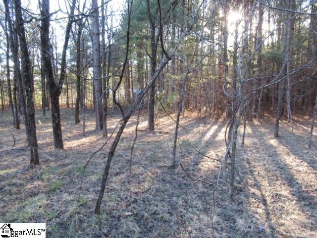 Property image 1 at 0 Matthews Creek Lane, Cleveland, SC 29635