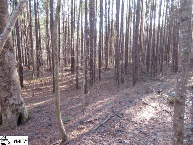 Property image 1 at 5 Matthews Creek Lane, Cleveland, SC 29635