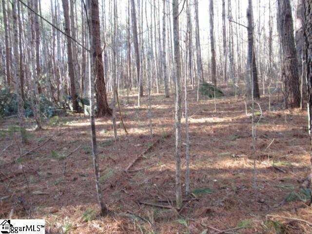 Property image 1 at 9 Matthews Creek Lane, Cleveland, SC 29635