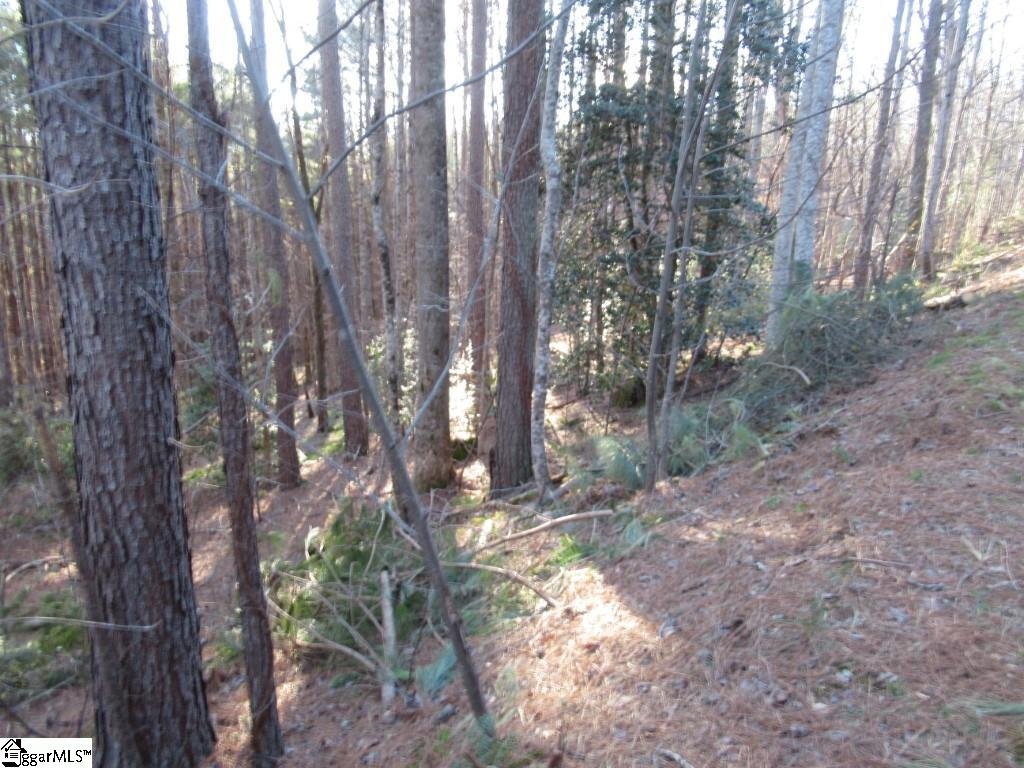 Property image 1 at 10 Matthews Creek Lane, Cleveland, SC 29635