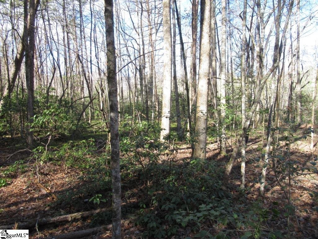 Property image 1 at 12 Matthews Creek Lane, Cleveland, SC 29635