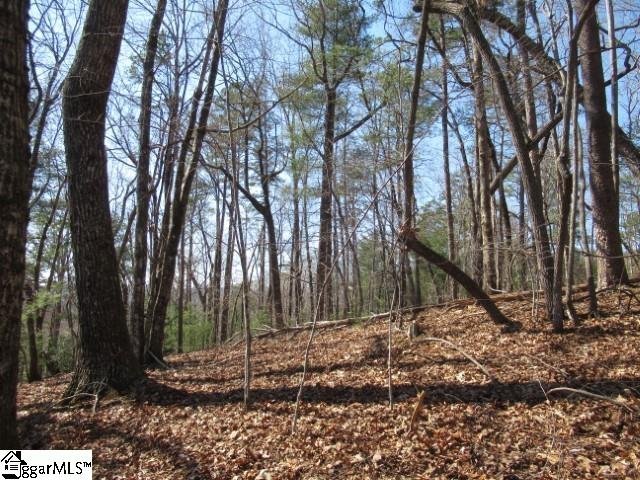 Property image 1 at 111 Oolenoy Court, Pickens, SC 29671