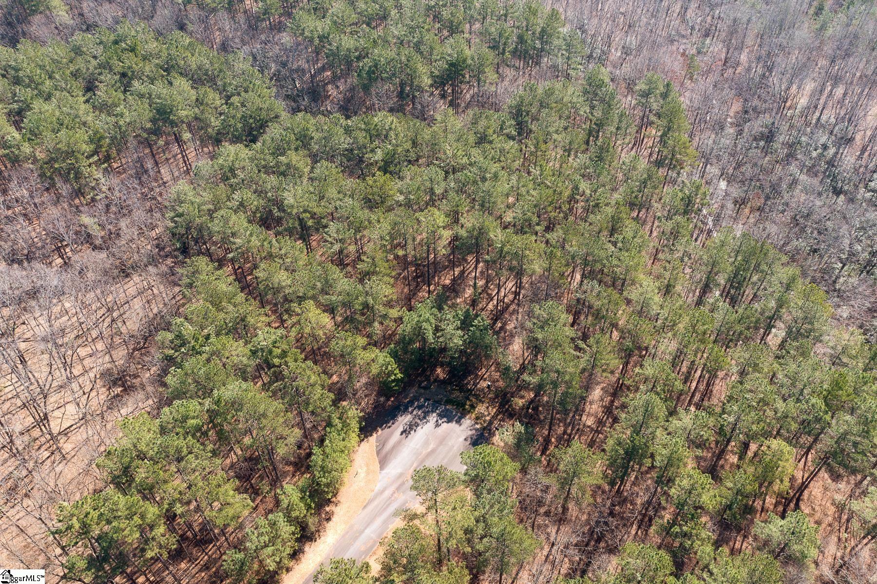 Property image 1 at 913 Mountain Mint Way, Salem, SC 29676