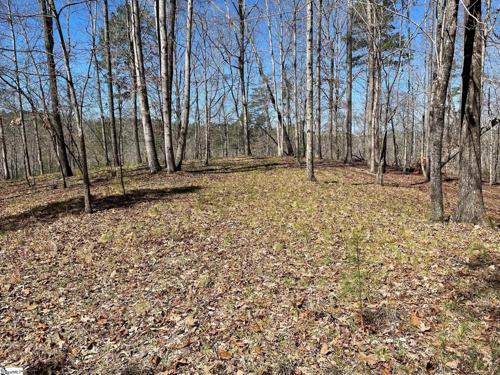 Property image 1 at 114 Edgestone Way, Six Mile, SC 29682