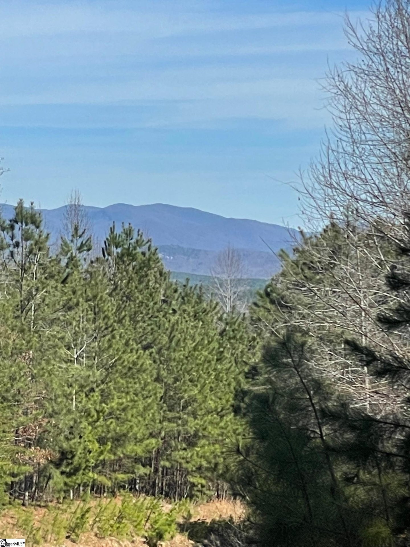 Property image 1 at 176 Creek Stone Court, Six Mile, SC 29682