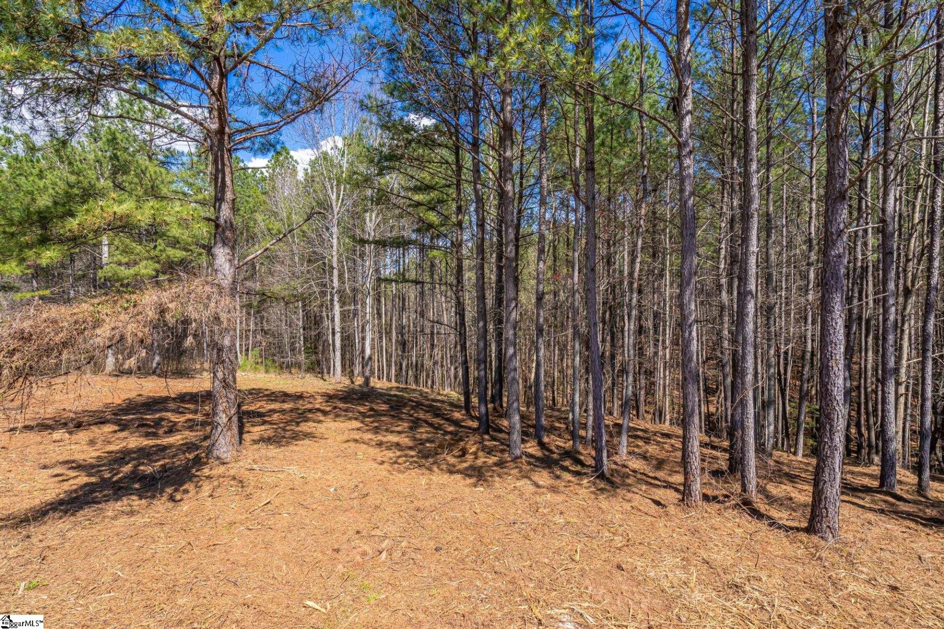 Property image 1 at 0 Lightwind Court, Seneca, SC 29672