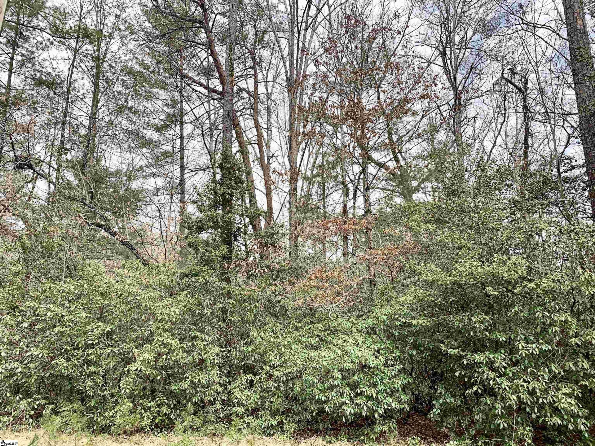 322 Gauley Falls Road