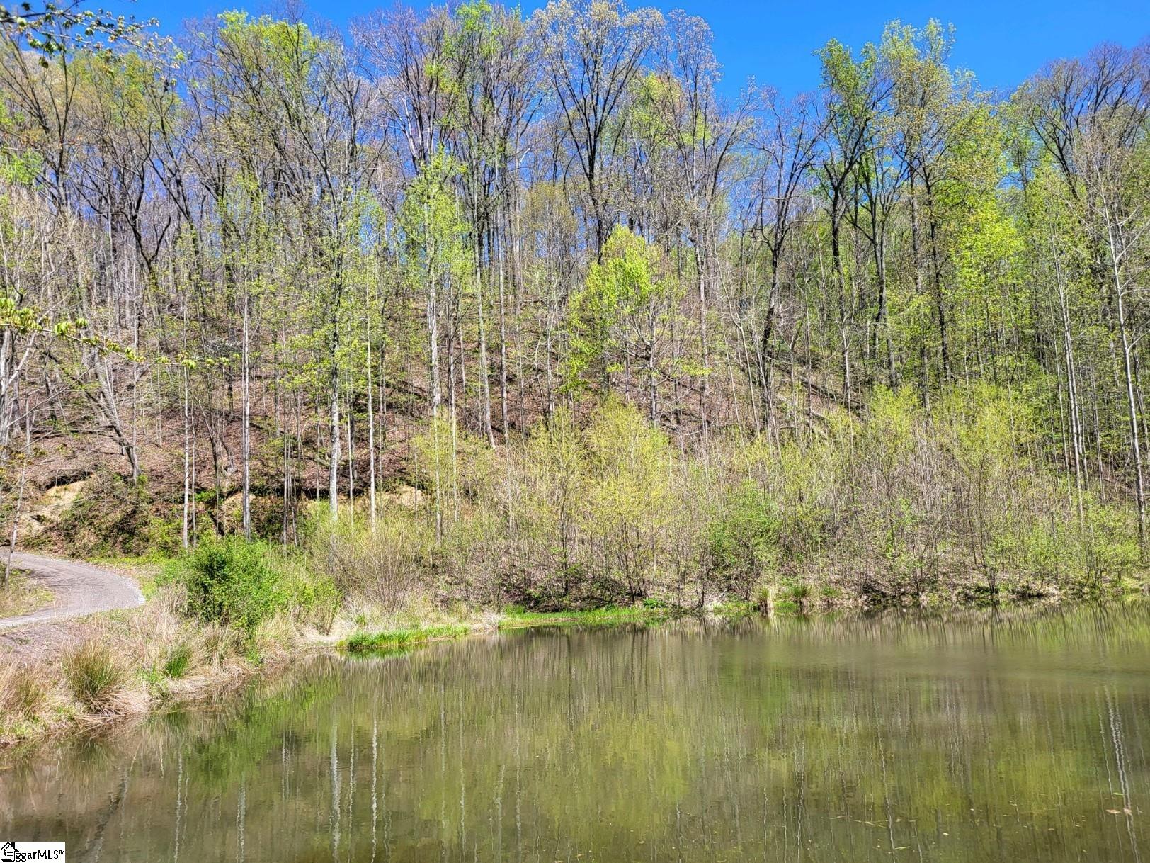 128 Glassy Falls Trail