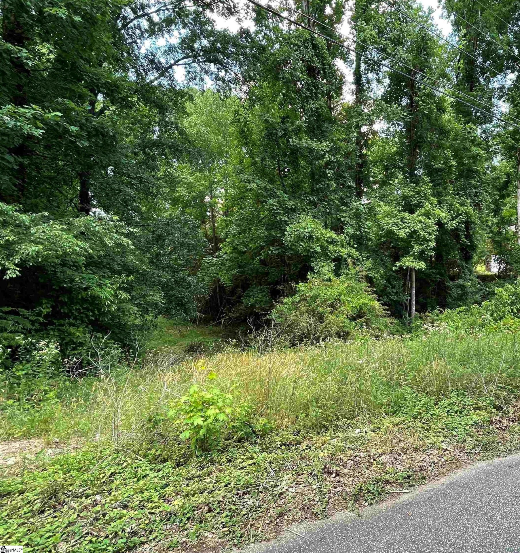 Property image 1 at 0 Woodburn Drive, Taylors, SC 29687