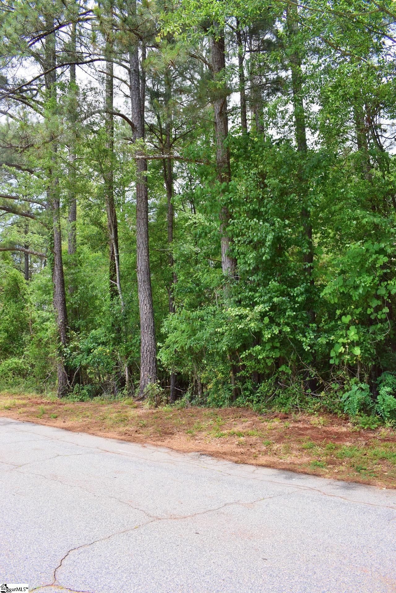 Property image 1 at 113 Leon Drive, Anderson, SC 29624