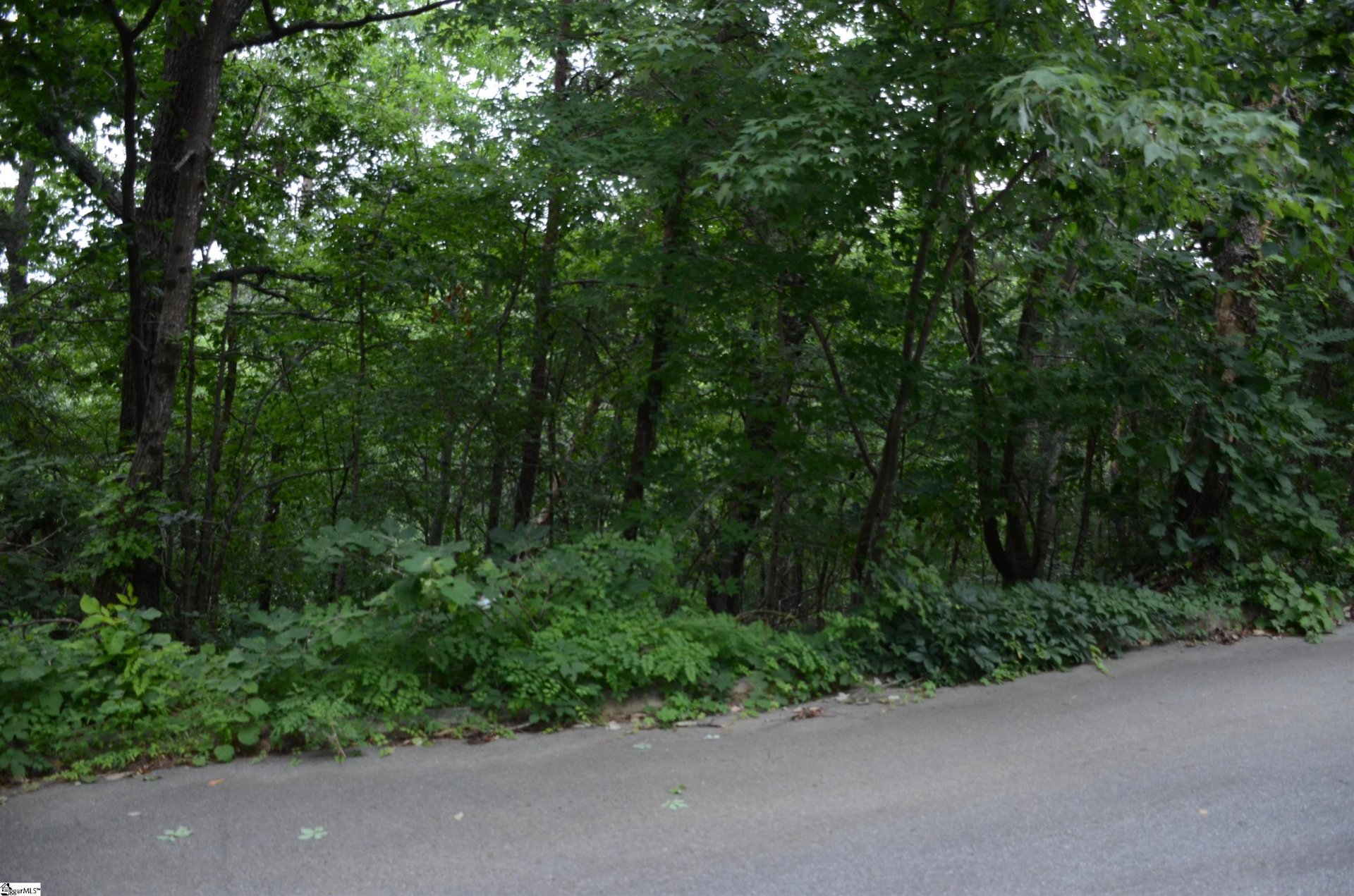 00 Altamont Forest Road