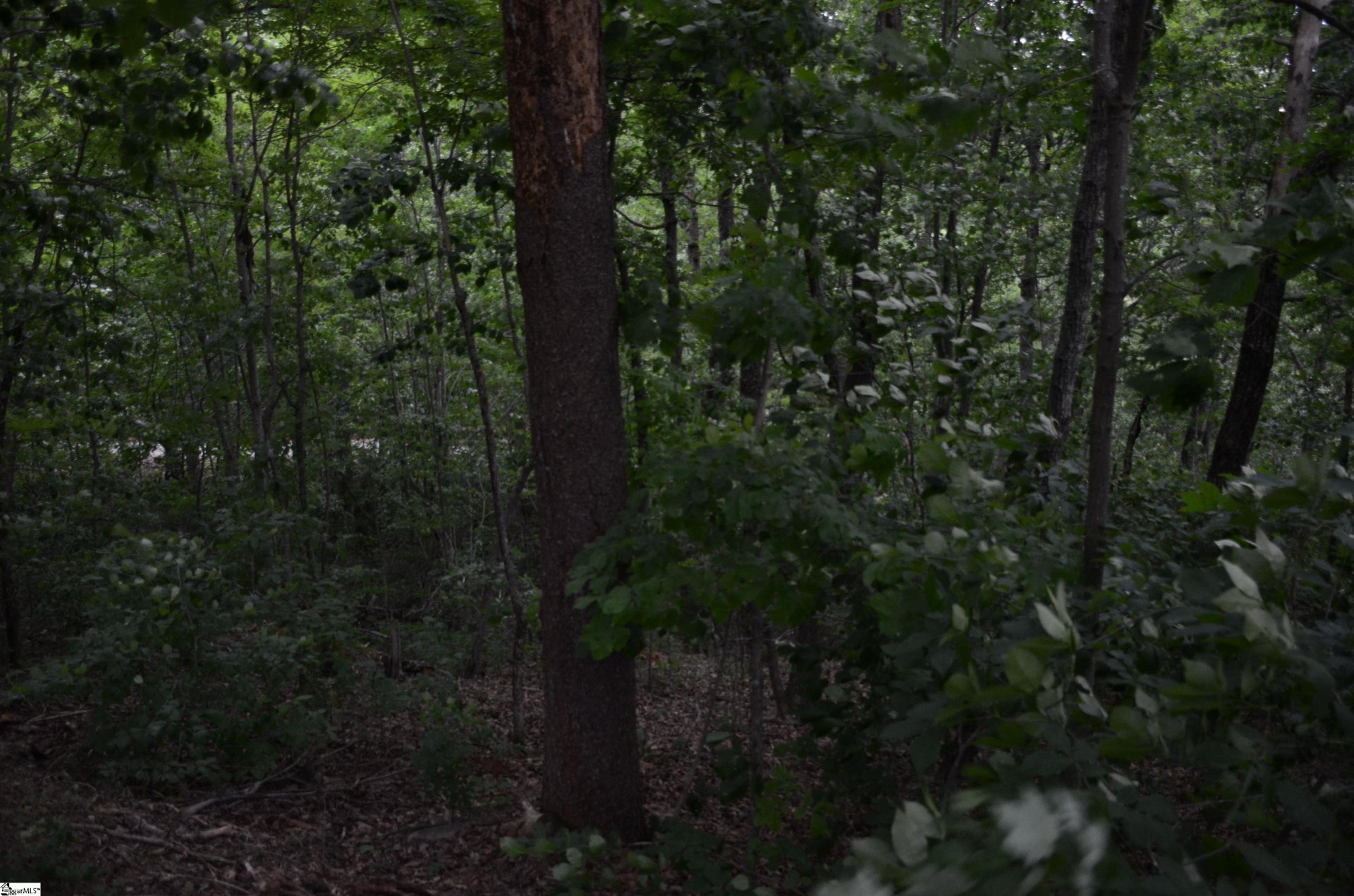 Property image 1 at 00 Altamont Forest Drive, Greenville, SC 29609