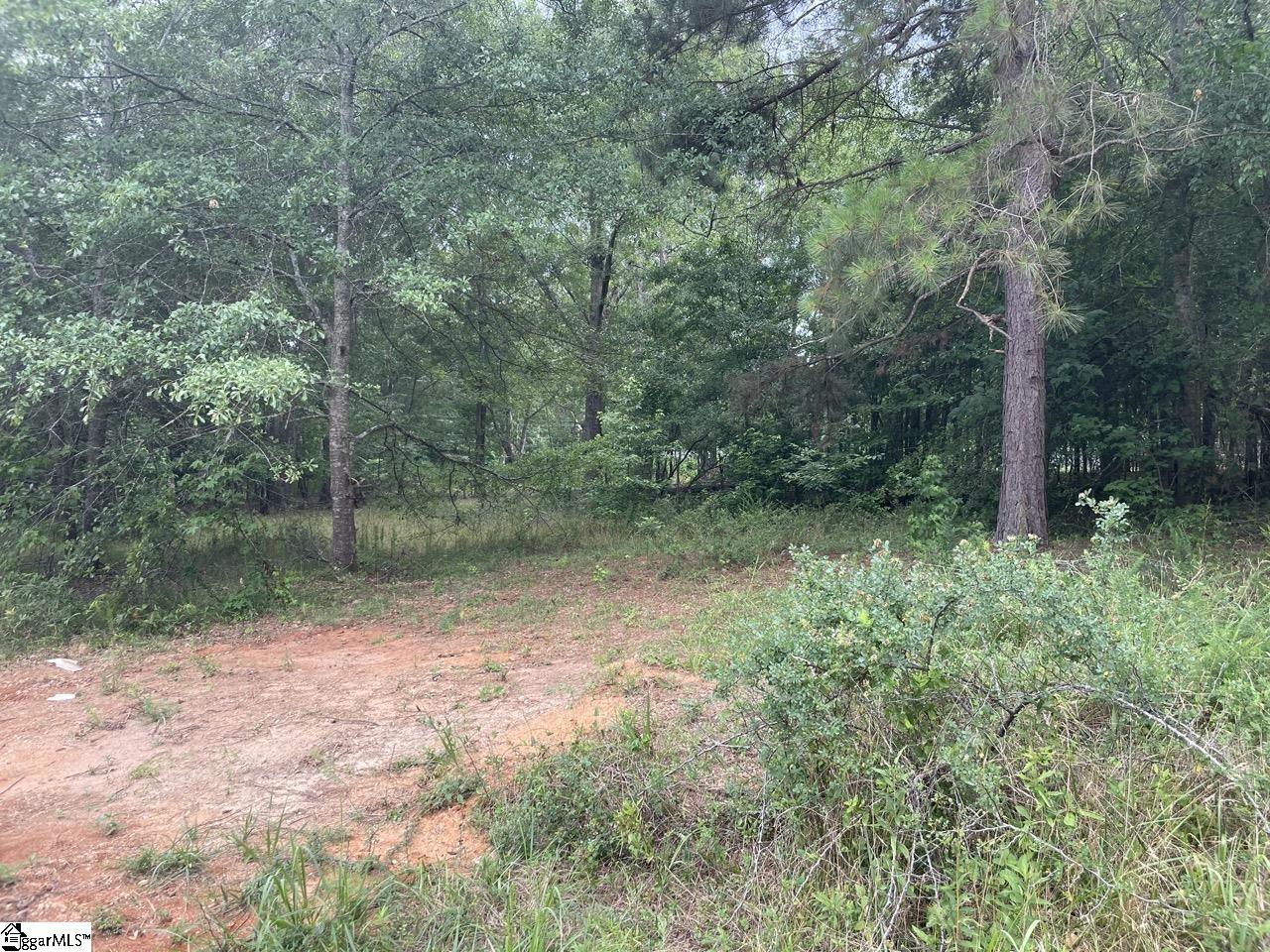 Property image 1 at 104 Gate Court, Williamston, SC 29697