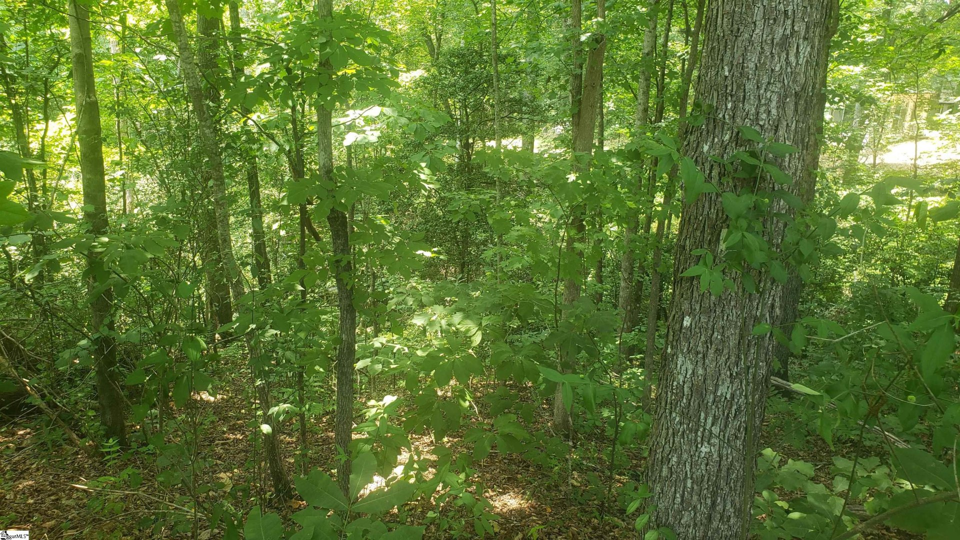 Property image 1 at Lyle Drive, Taylors, SC 29687