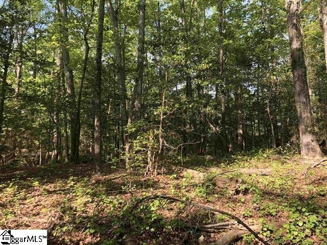 Property image 1 at 26305 Carolina Way, Fountain Inn, SC 29644