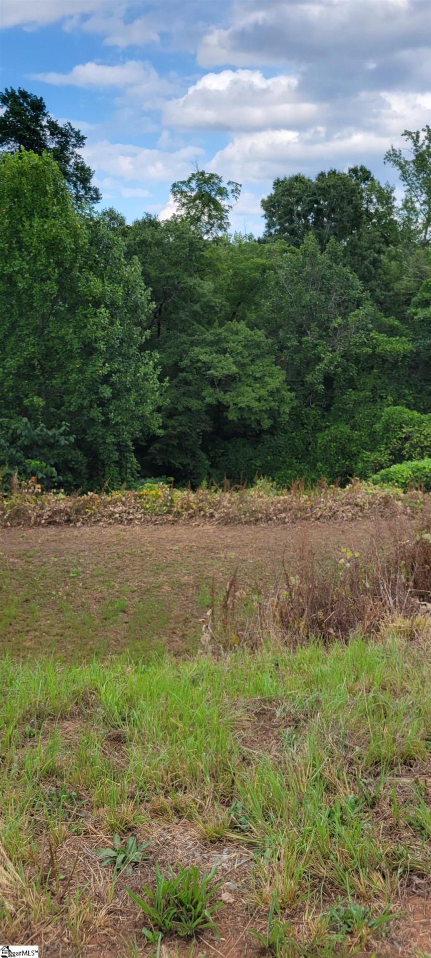 Property image 1 at 193 Chandler Crest Court, Greer, SC 29651