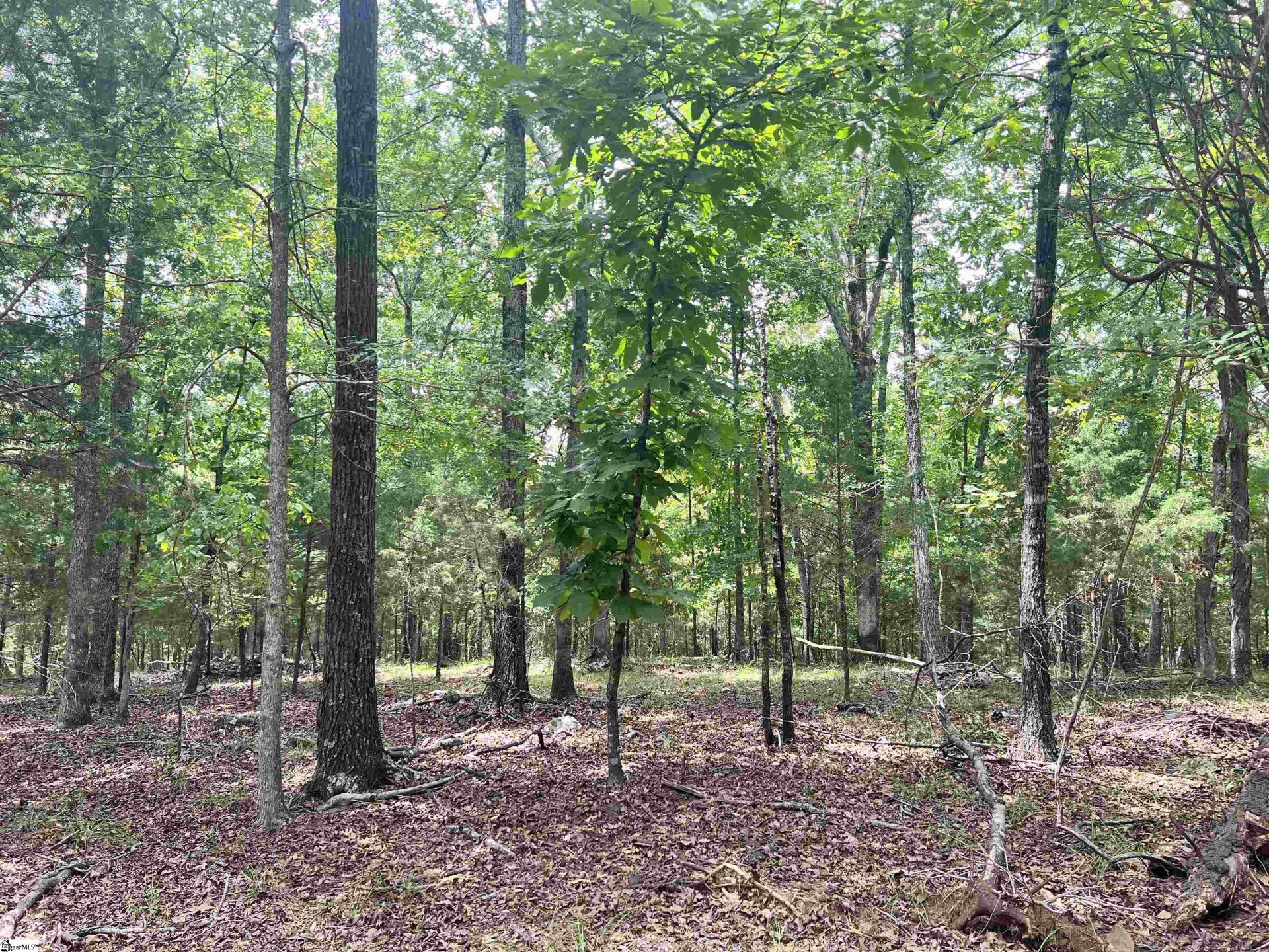 Property image 1 at 118 & 120 Indian Ridge Drive, Laurens, SC 29360