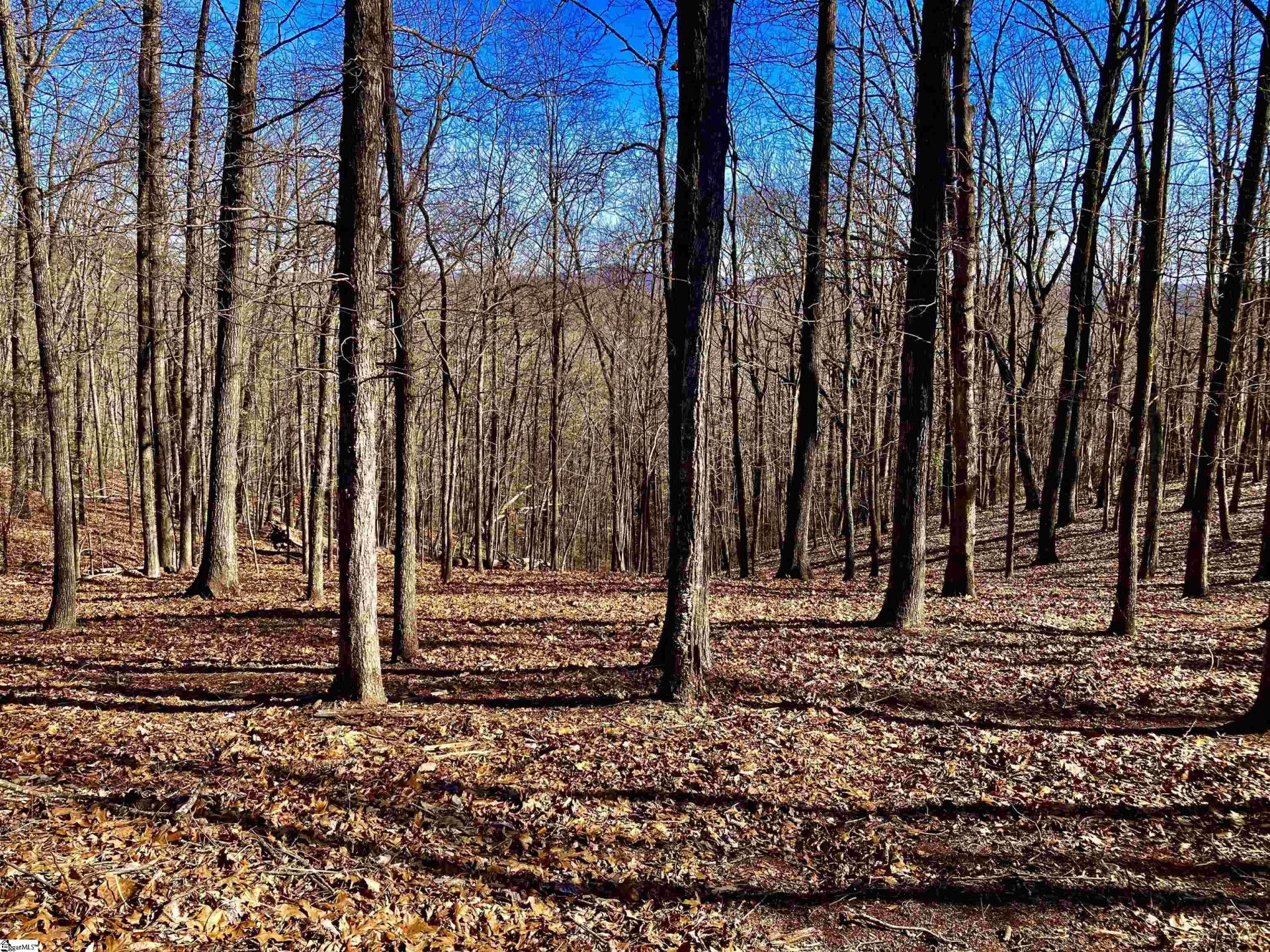 Property image 1 at 141 Cherokee Rose Trail, Marietta, SC 29661