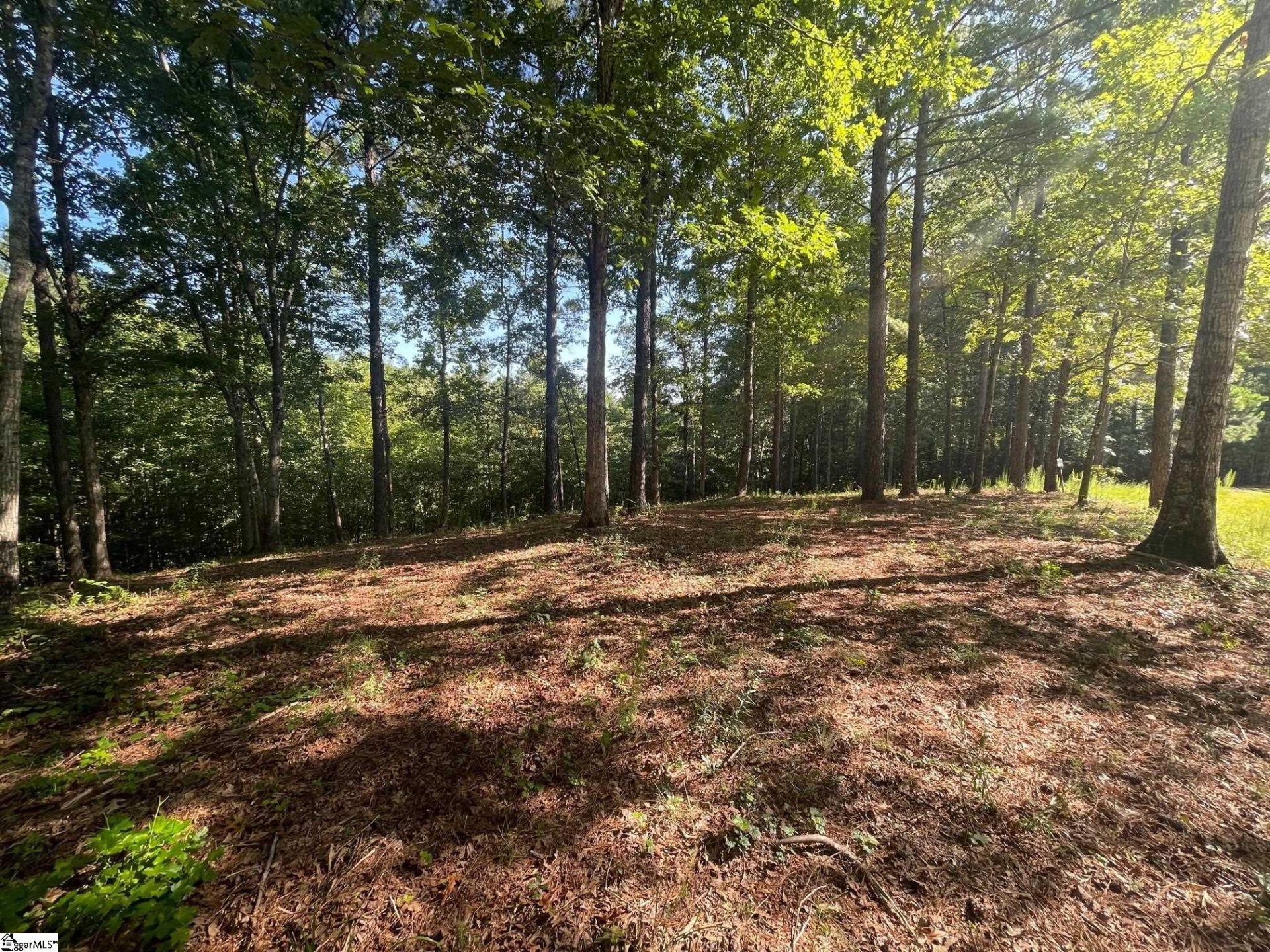 Property image 1 at 629 Pine Harbor Way, Salem, SC 29676